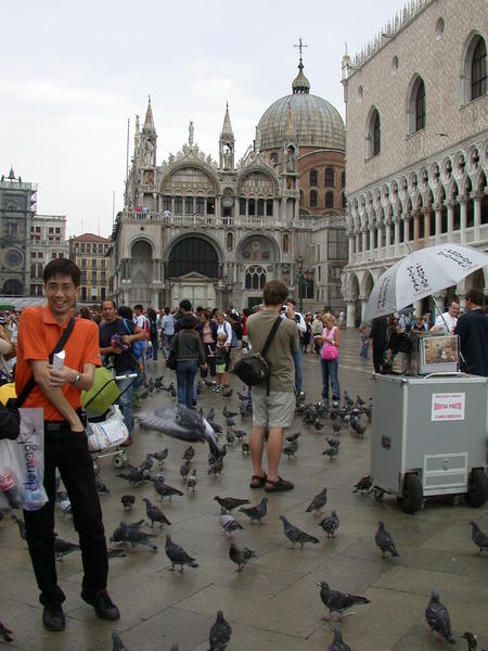Pigeon Feed Vendor