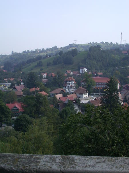 View From Bran Castle