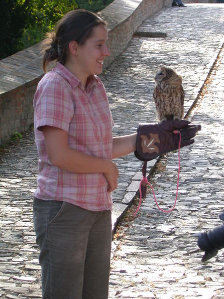 Girl Holding Owl