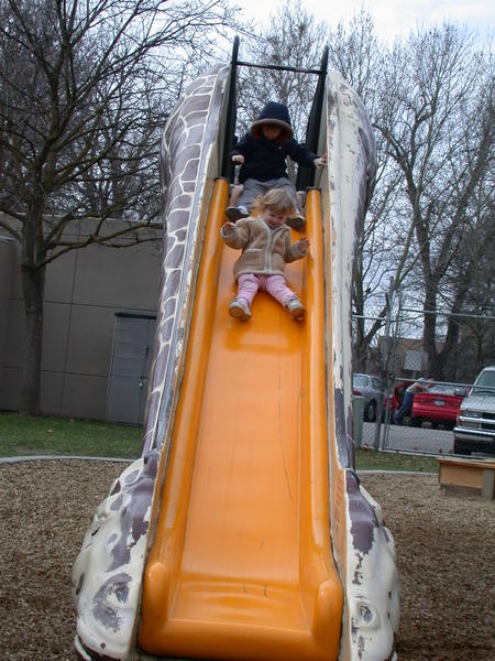 Giraffe Slide