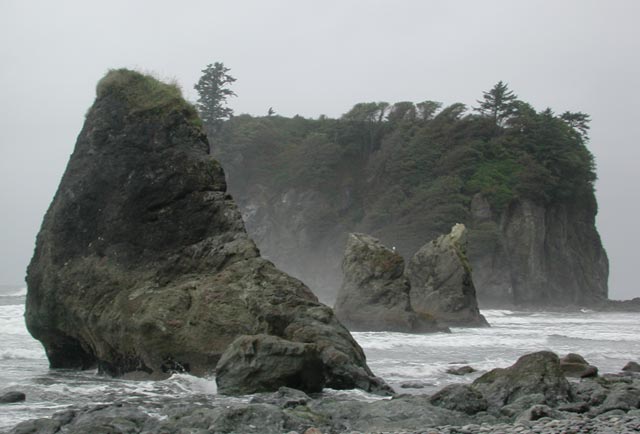 Rock Formations at Ruby Beach (38661 bytes)