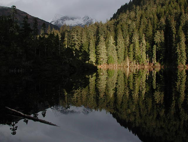 Beaver Lake Reflection (62994 bytes)