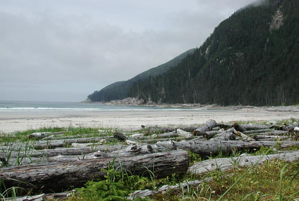 North end of Sealion Cove (52977 bytes)