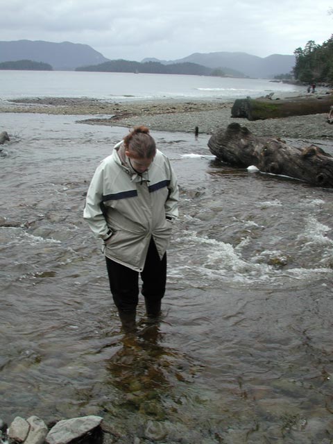 Melissa Wading Across the Creek (57412 bytes)