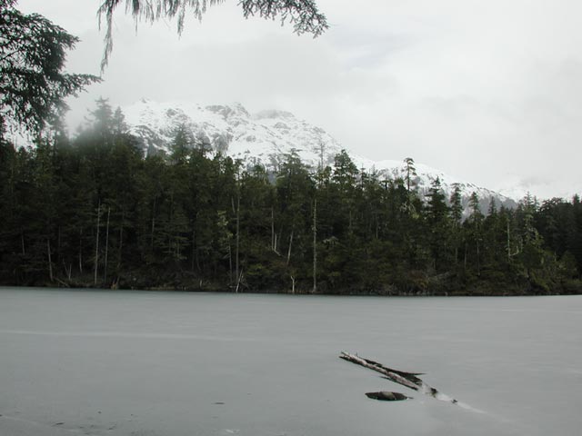 Beaver Lake (35844 bytes)