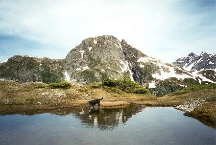 Ce'Nedra, an Alpine Pond, and the Eastern Sister (34k)