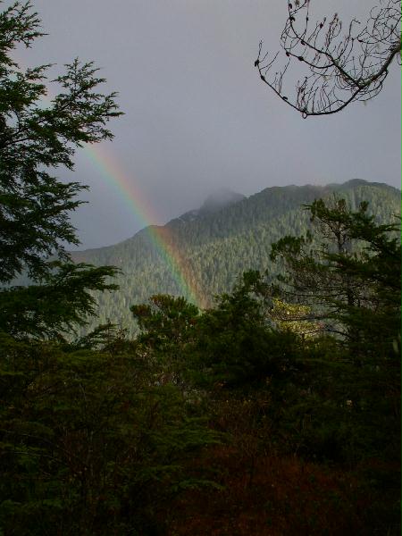 Verstovia over the rainbow