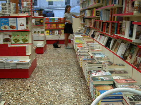 Bookstore Dog