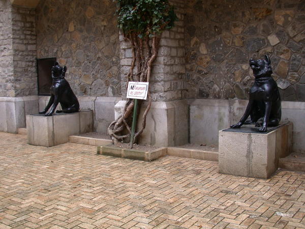 Peles Castle Dogs