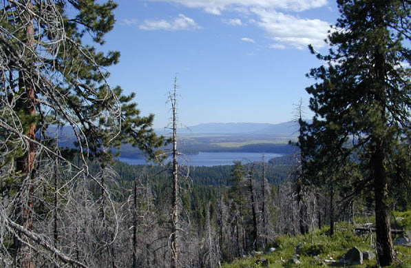 Above Long Valley (68268 bytes)