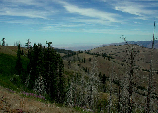 View from Near Frog Pond Butte (56111 bytes)