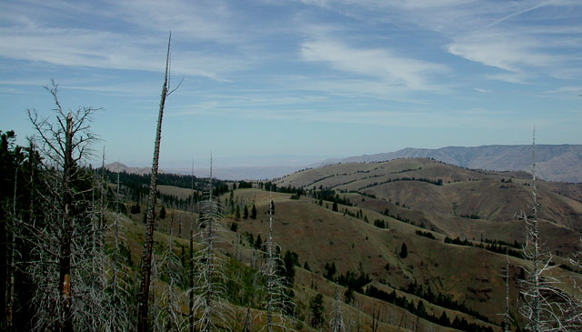 Looking North from North of Frog Pond Butte (59025 bytes)