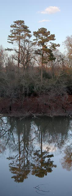 Reflections in the Neuse River (36742 bytes)