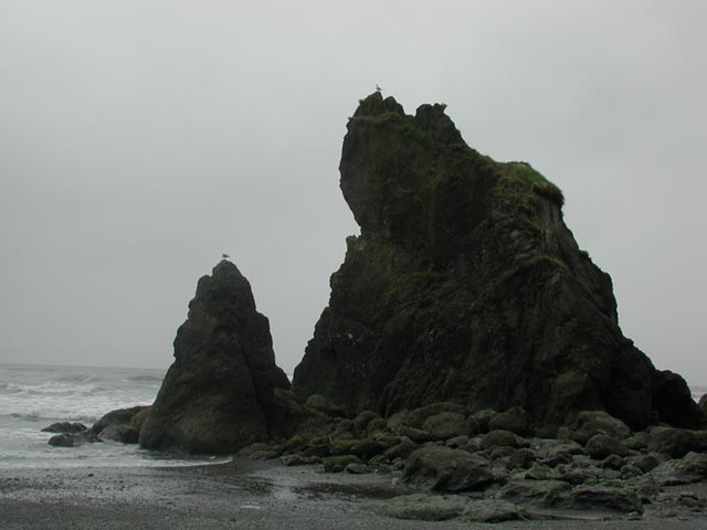 Ruby Beach Rock Formations (28137 bytes)