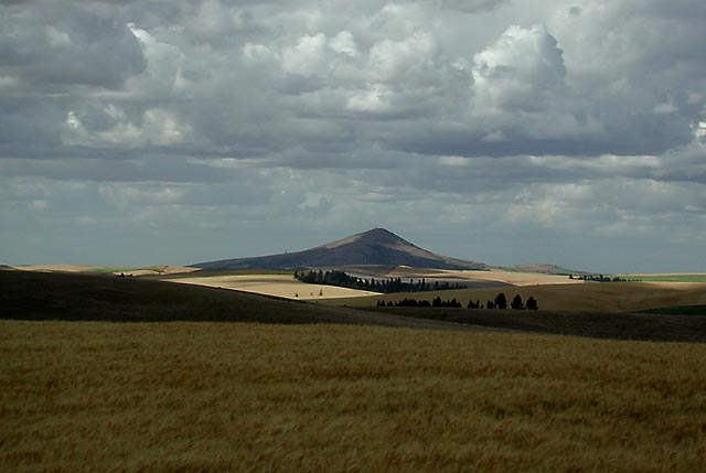 Steptoe Butte as Seen from Enos Road (49924 bytes)