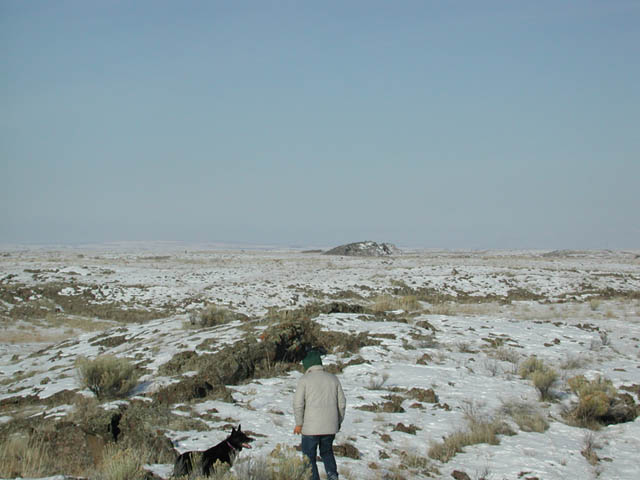 Dad and Dog on Their Way Back (44838 bytes)