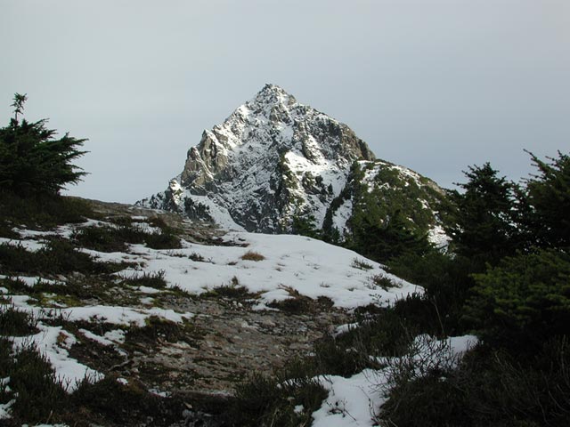 A First Look of the Main Peak (58027 bytes)