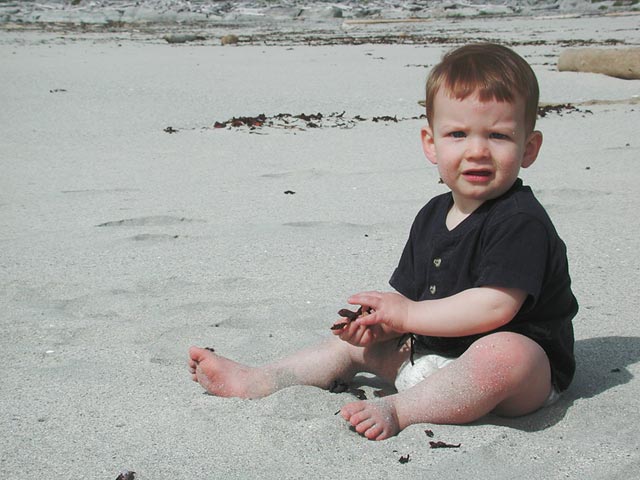 Connor Plays in the Sand (54752 bytes)