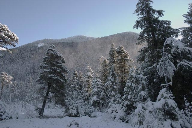Winter Scene (60550 bytes)