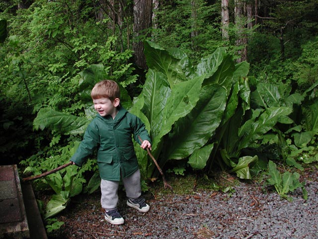 Connor and Skunk Cabbage (91204 bytes)