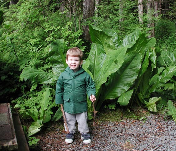 Connor and Skunk Cabbage (86705 bytes)