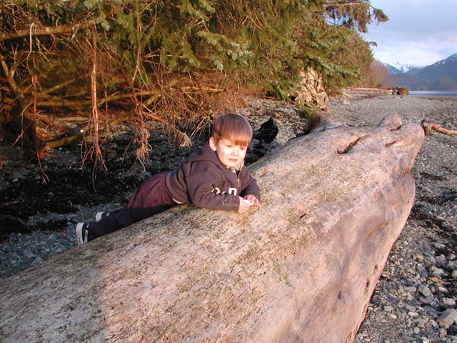 Connor Relaxes on a Log (93192 bytes)