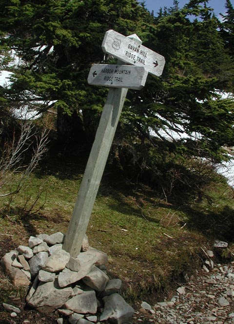 Trailpost (89157 bytes)