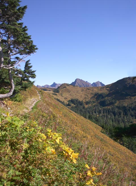 Fall Along the Trail (72916 bytes)