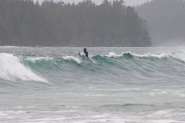Surfing Sandy Beach (47012 bytes)