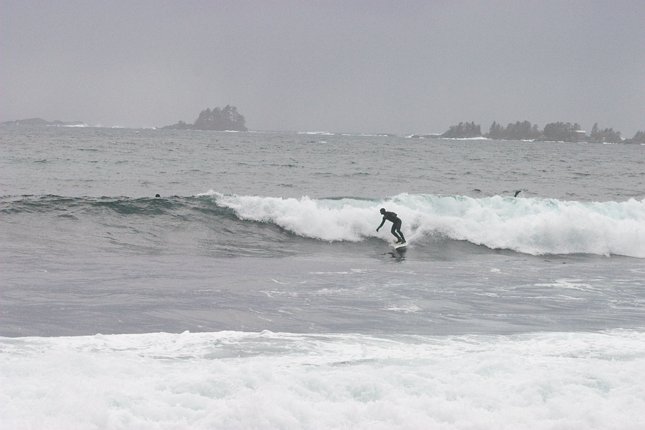 Sandy Beach Surfing (38593 bytes)