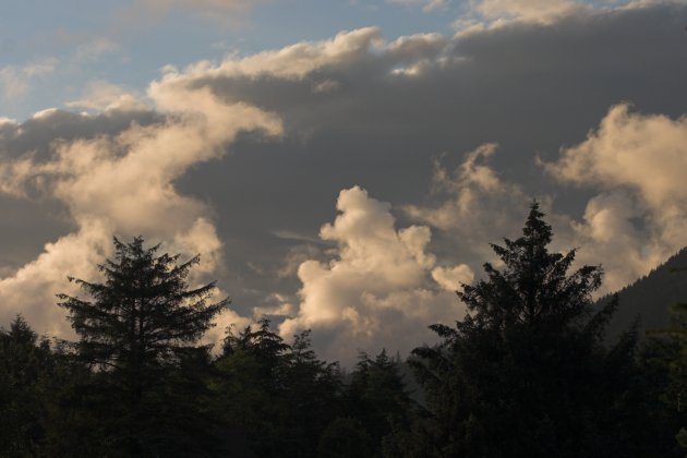 Evening Clouds (41671 bytes)