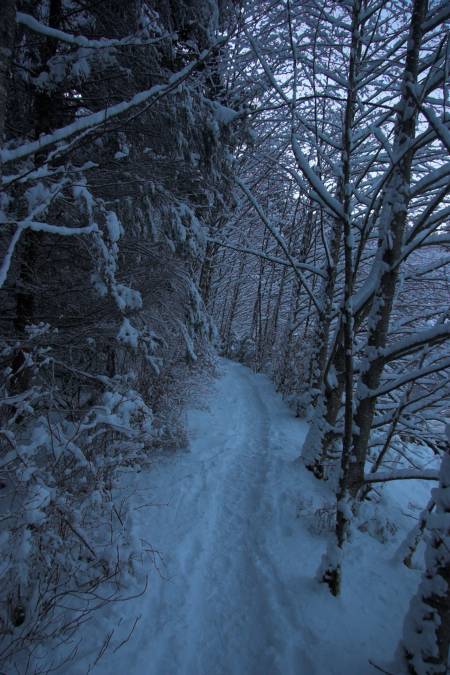 Snow Path (65229 bytes)