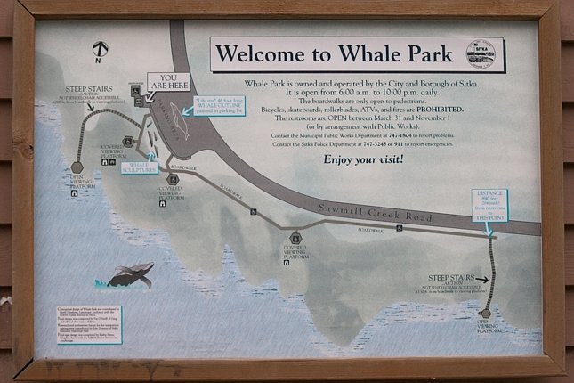Whale Park Information Sign (65481 bytes)