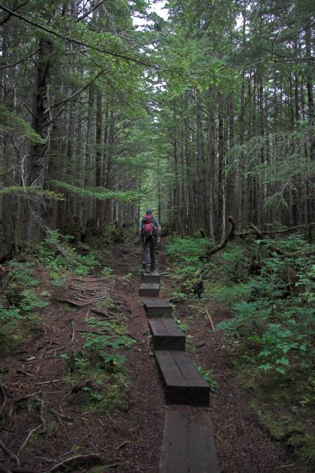 Hiking Gavan Trail (70371 bytes)