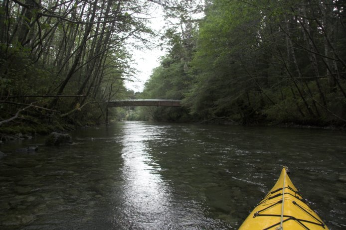Kayaking Indian River (84588 bytes)
