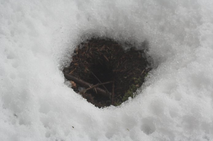 Hole in the Snow (41498 bytes)