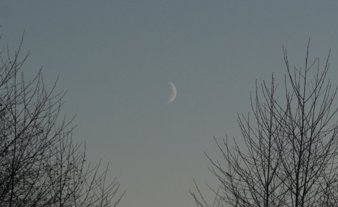 Crescent Moon (40374 bytes)