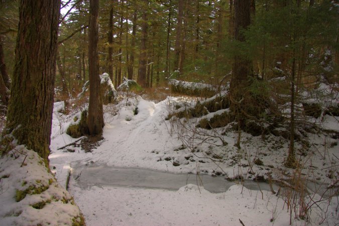 Snowy Trail (83526 bytes)