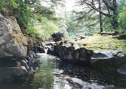 Fred's Creek (58k)